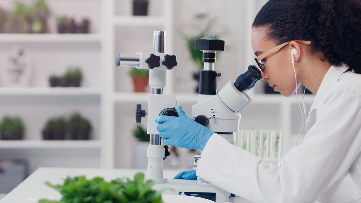 Scientist in laboratory looking into microscope. Plants in the background on shelfing, and forefront laying on desk.
