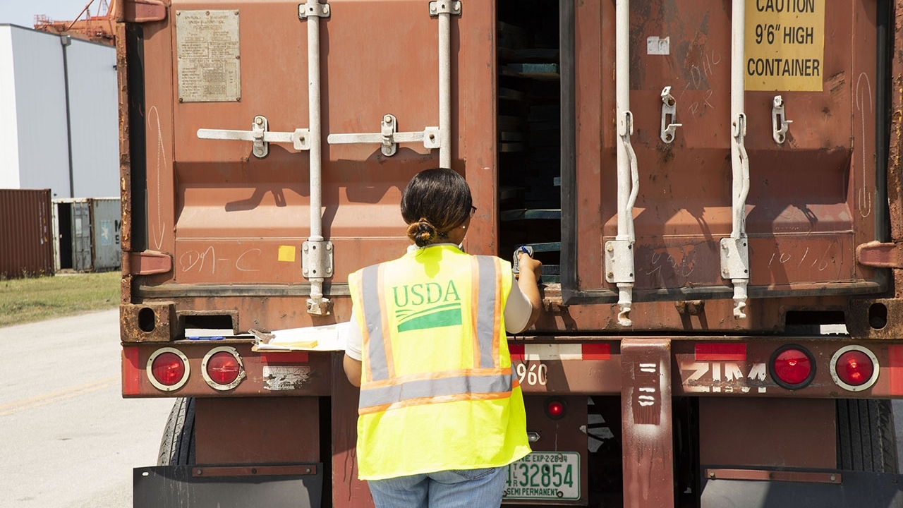 a USDA worker investigating inside of a truck
