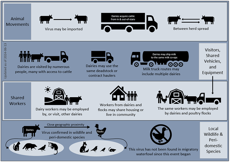 HPAI in livestock infographic infographic