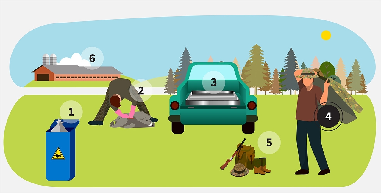 step 4 of infographic