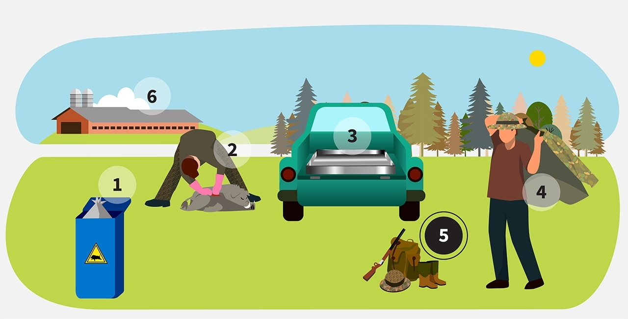 step 5 of infographic