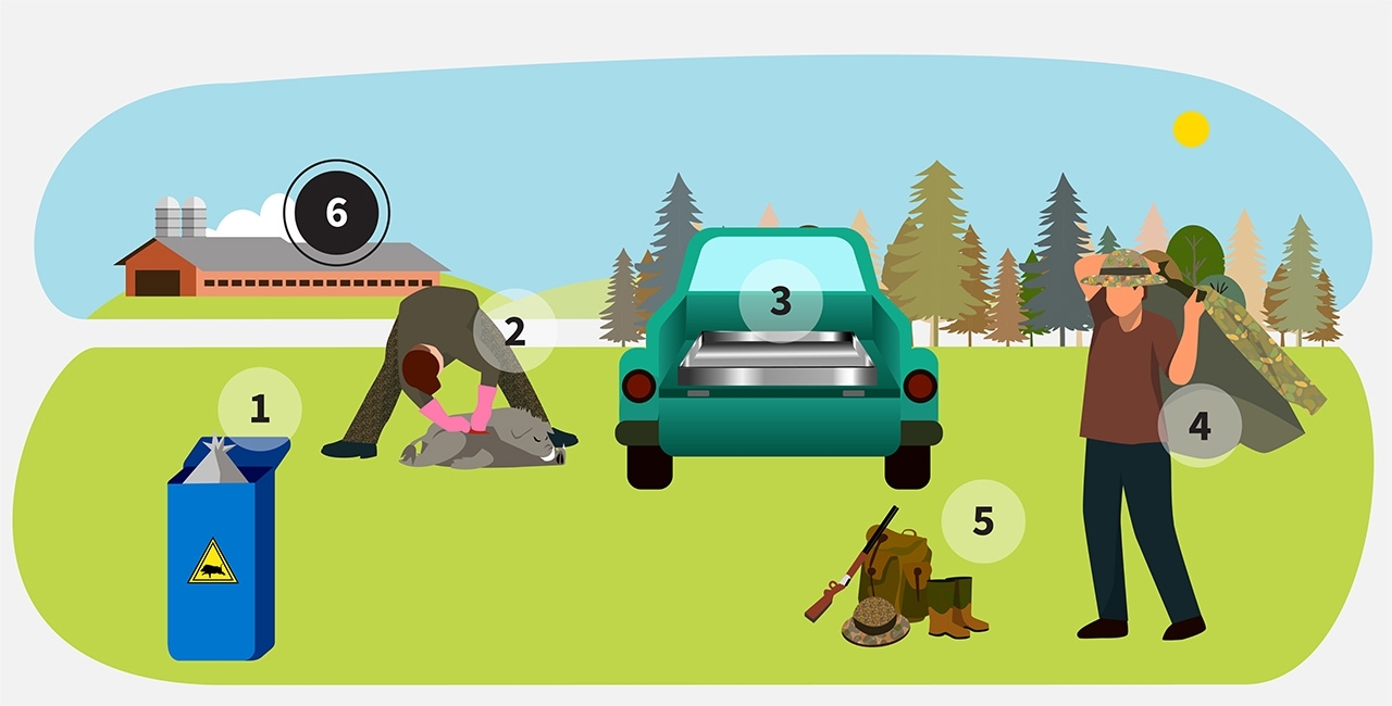 step 6 of infographic