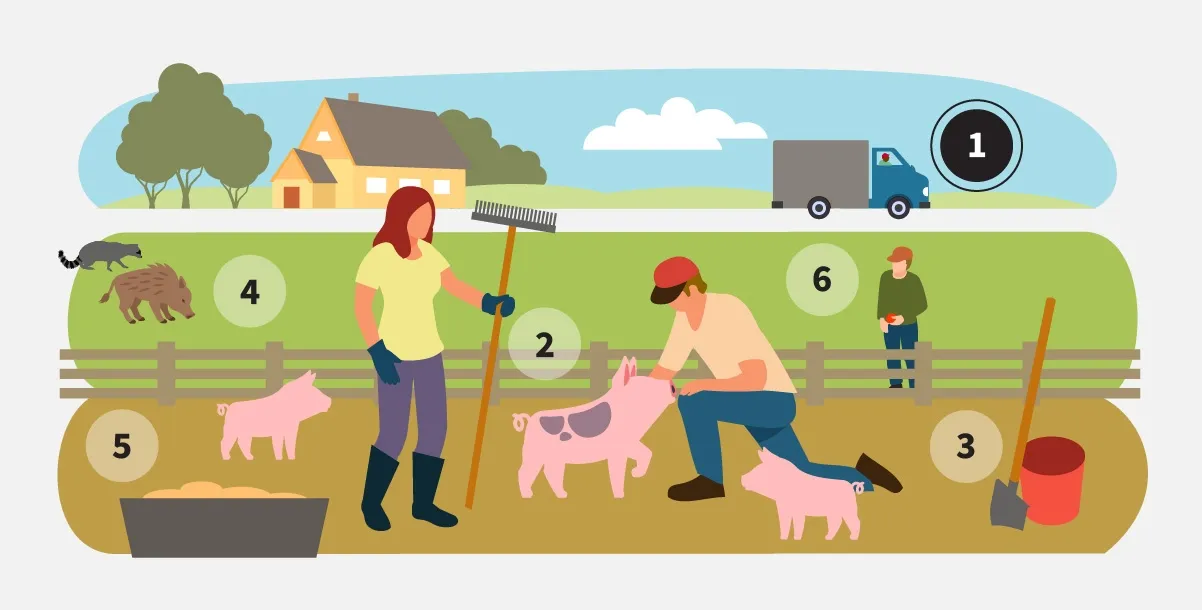 protect our pigs small farm and pet owners protect our pigs small farm graphic