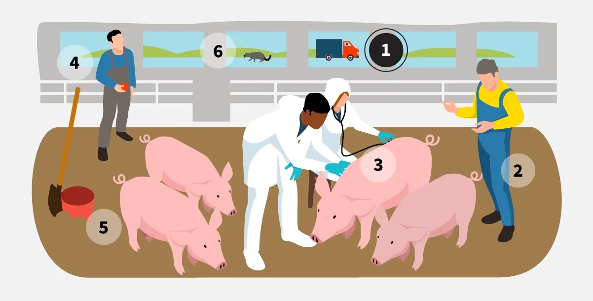 veterinarians-slide-1.webp