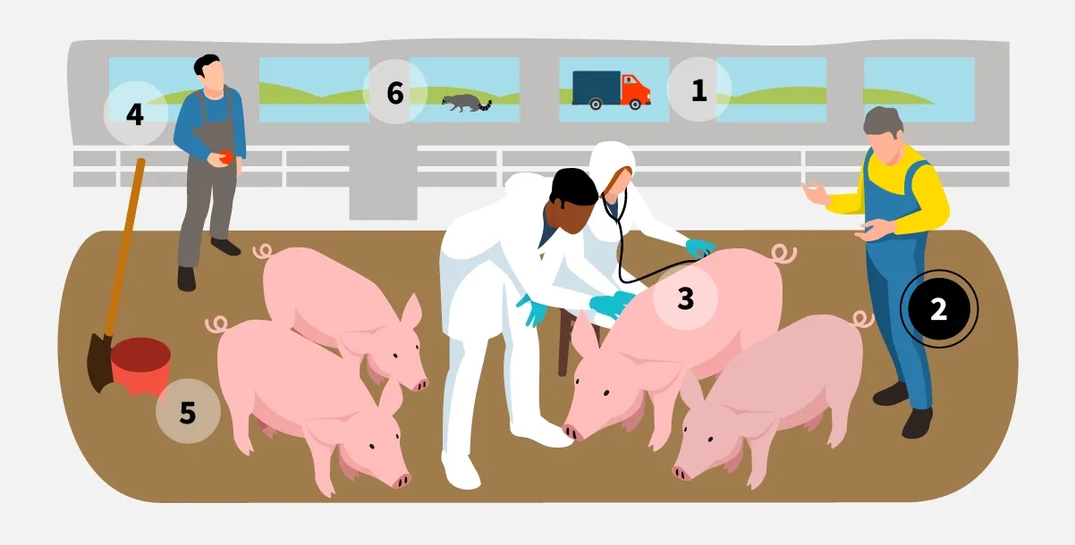 veterinarians-slide-2.webp