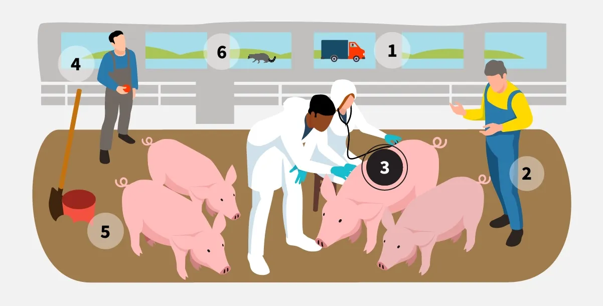 veterinarians-slide-3.webp