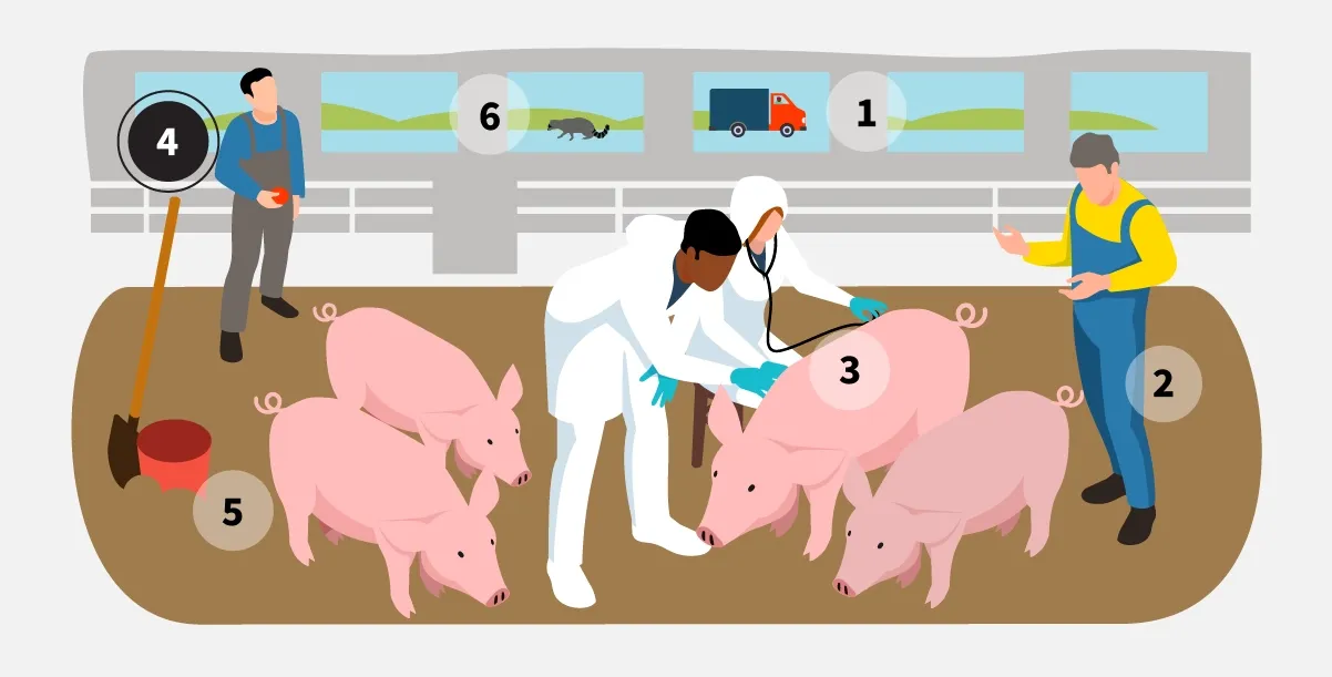 veterinarians-slide-4.webp