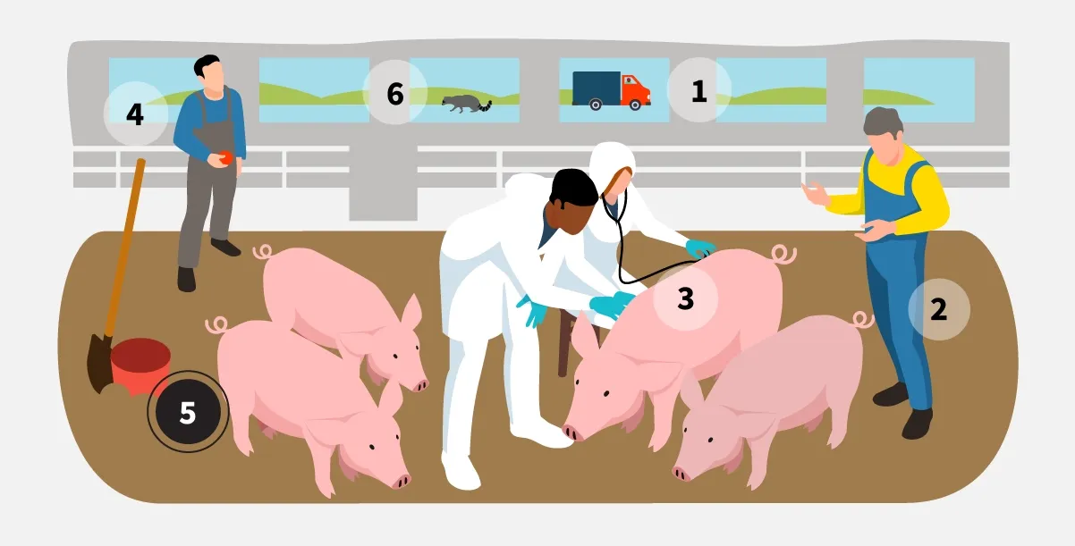veterinarians-slide-5.webp