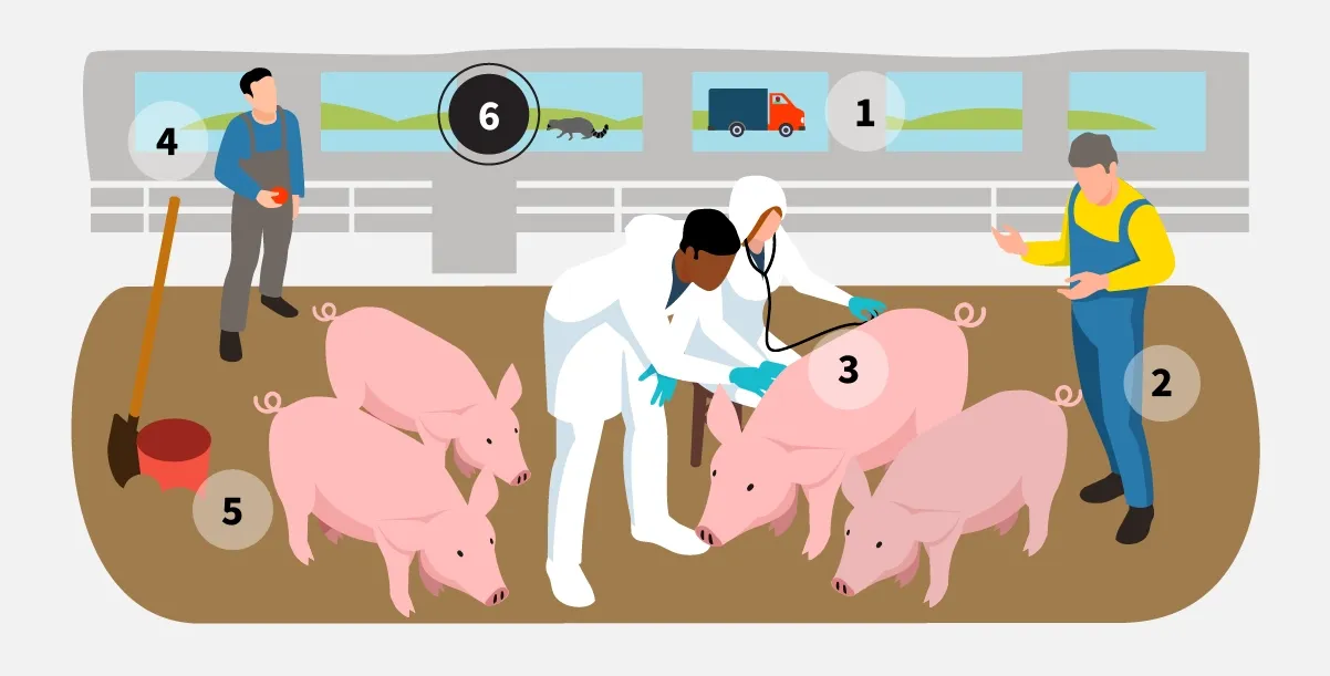 veterinarians-slide-6.webp