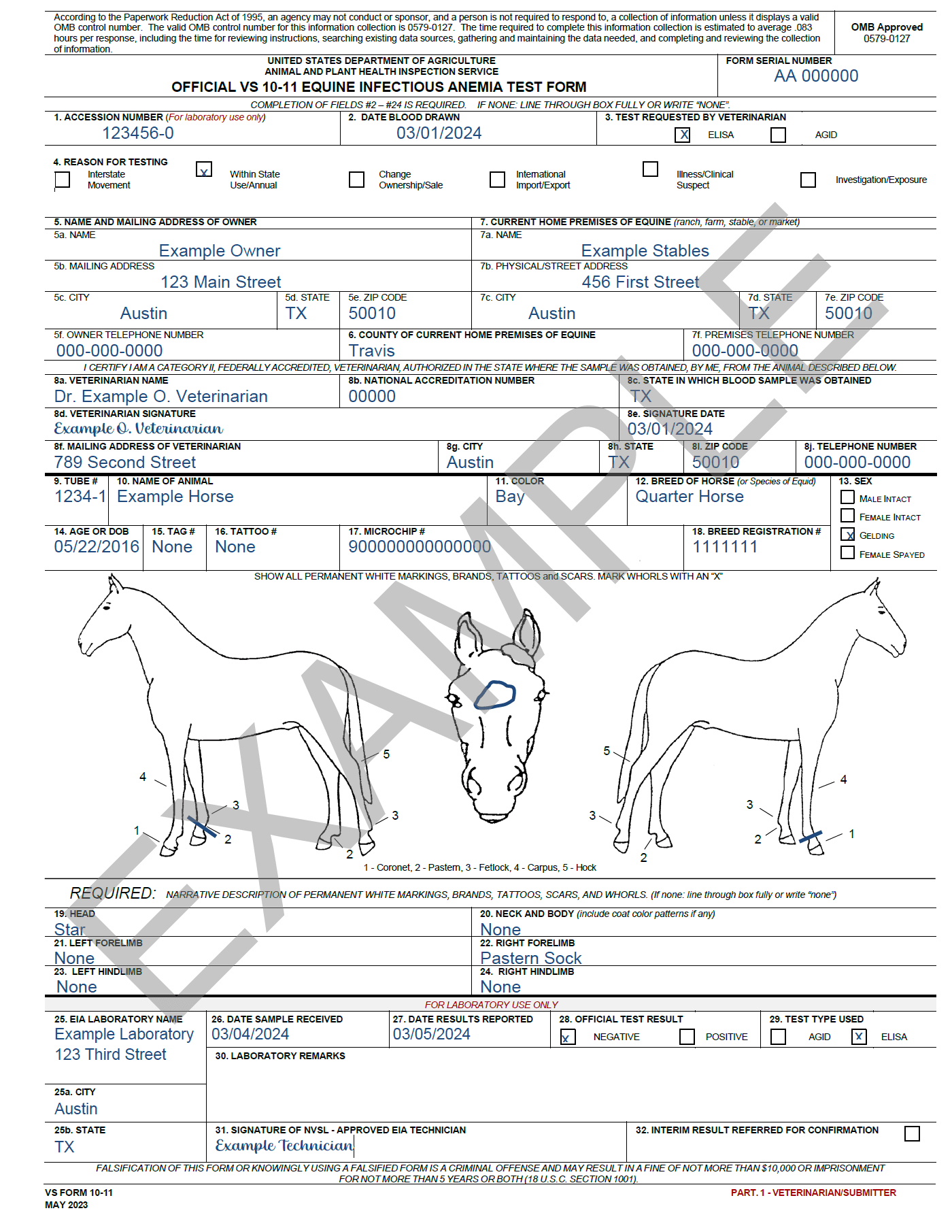 Sample completed VS 10-11 example of a filled-out vs form 10-11