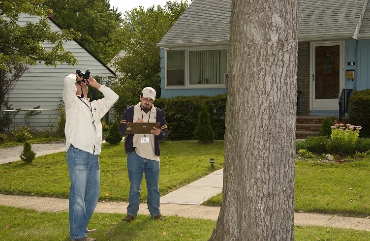 Two ALB surveyors inspecting trees from the ground using binoculars.
