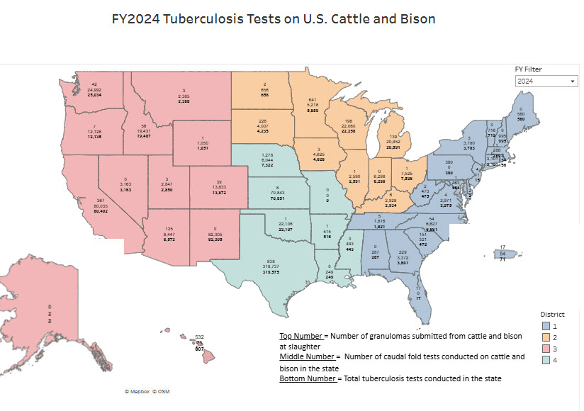 tuberculosis-tests-us-cattle-bison.png