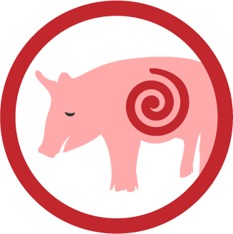 pig with diarrhea icon