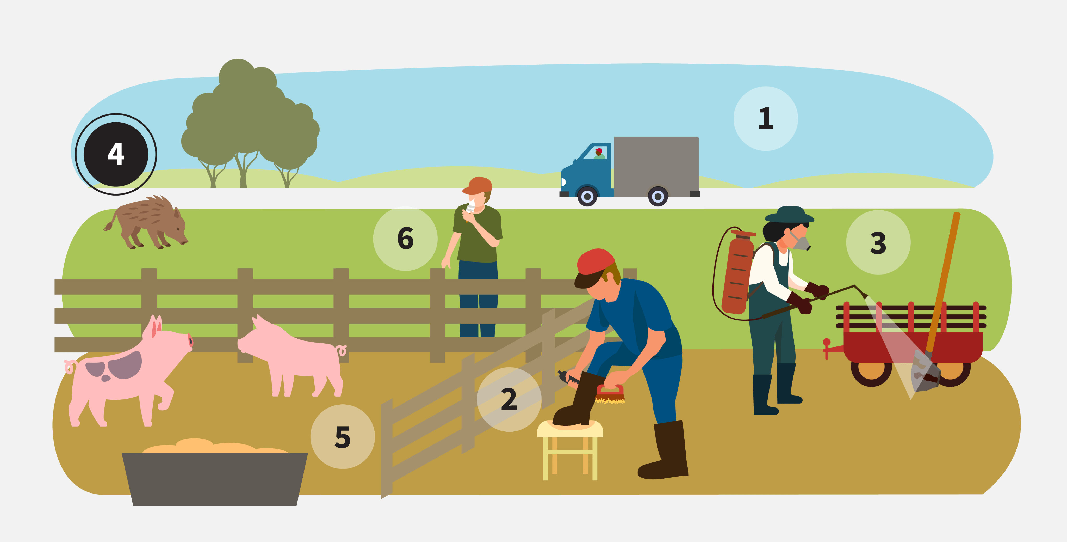 infographic highlighting step 4