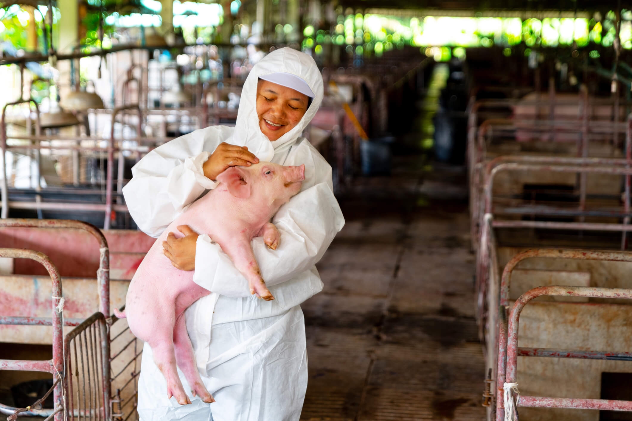 woman in protective gear holding a pig