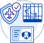 airline-travel-icon.png