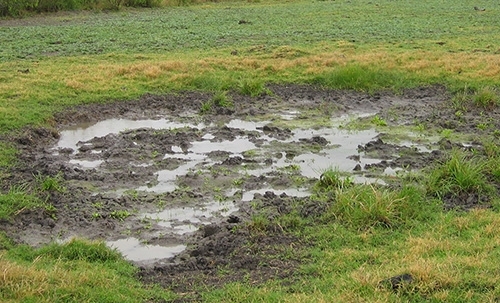 mud hole