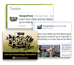 social-media-image