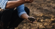 Male hands touching soil on the field. 