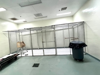 inside of a commercial bird room at Miami Animal Import Center - shows a clean, brightly lit room with an animal housing enclosure
