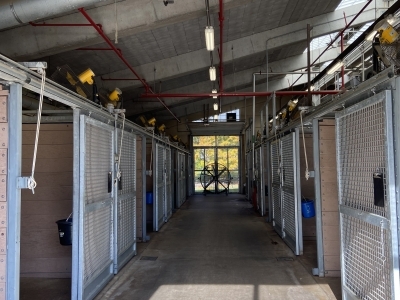 inside of an equine barn at New York Animal Import Center