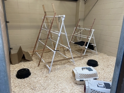 inside of a housing enclosure setup for parrots in quarantine